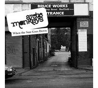 Arctic Monkeys - When the Sun Goes Down (7") [VINYL]
