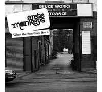 Arctic Monkeys - When the Sun Goes Down (7") [VINYL]