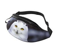 Arctic Owl Fanny Pack for Men Women Fashion Running Waist Packs Waterproof Crossbody Bags Everywhere Belt Bag with Adjustable Strap Sports Hip Pack for Travel Wallet