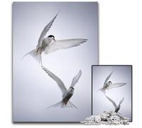 Arctic Tango Adult Jigsaw Puzzles 1000 Pieces Challenging Puzzles Home Decor Brain Teaser Game for Teenagers & Family Interaction 1000 PCS(75x50cm)