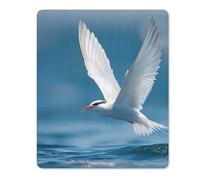 Arctic Tern Diving Funny Mouse Pads Mats Non-Slip Mousepad for Gaming Office Home Work
