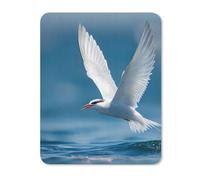 Arctic Tern Diving Funny Mouse Pads Mats Non-Slip Mousepad for Gaming Office Home Work
