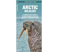 Arctic Wildlife: An Introduction to Familiar Species (A Pocket Naturalist Guide) (Pocket Naturalist Guides)