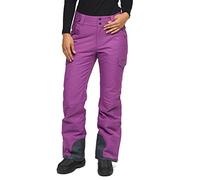 ARCTIX Women's Snow Sports Insulated Cargo Pants, Amethyst Melange, 3X/33 Inseam