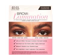 Ardell Brow Lamination Kit