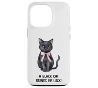 Are Black Cats unlucky? Case for iPhone 13 Pro