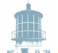 Are You Falling In Love?