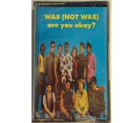Are you okay? (1990) [CASSETTE]