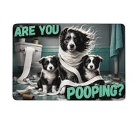 Are You Pooping Rug 150 X 100 Cm, Soft Non Slip Christmas Home Decor | Living room rug - adds a soft decorative accent; short pile surface; for guest room and reading corner