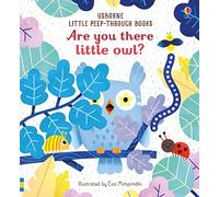 Sam Taplin – Are You There Little Owl? – Little Peek-Through Books