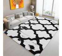Area Rug 60 x 90 cm/24 x 35.4 Inch, Abstract Geometric Traditional Printed, Black White Washable & non-slip Carpet, Flannel Rugs Soft Touch, Bedroom Living Room Decorations Carpet Indoor Area Rugs