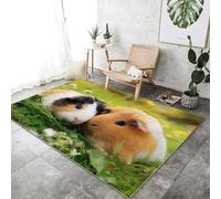 Area Rug 80 x 150 cm Non-Shedding Print Floor Carpet Machine Washable, Rugs for Living Room Non Slip Nature Animal Horse Cherry Blossom Carpet for Bedroom Dining Room, Pink