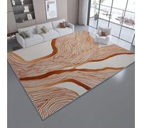 Area Rug for Living Room, 50 x 80 cm Machine Washable Orange Color Printed Area Rug Non-Slip, Super Soft Minimalism Stripes Curves Lines Carpet for Dining Room Bedroom Home Décor