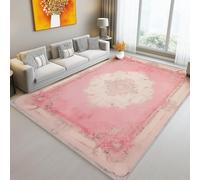 Area Rug for Living Room, Retro Chic Traditional Flowers Border theme Soft Anti-slip Low Pile Rugs for Bedroom Living Room, Pink rectangle Bedroom Carpet Mat 63" x 91" (160 x 230 cm)