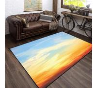 Area Rug Sunset Sky Scenery 3D Printed Carpet Polyester Soft Touch Short Pile Rug Non Slip Area Rug Easy Clean For Living Room Bedroom Kitchen Floor Mat 100 X 200 Cm With Rubber Backing /2610648178183