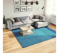 Area Rug Turquoise 240x240 cm 100% Polyester Super Soft Teddy Square Living Room
