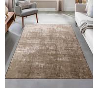 Area Rugs 2.6 x 4 ft,Modern Abstract Aged White Design,Brown, 80 x 120 cm,Decorations Bedroom Living Room Coffee Table Couch Desk Chair