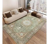 Area Rugs 5 x 5 ft,Vintage Traditional Orange Brown Distressed Patterns,Green,155 x 155 cm, Washable Rug for Living Room Bedroom Bedside Farmhouse Dining Carpet