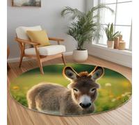 Area Rugs for Bedroom Donkeys Playing In Farmland, Soft Fluffy Living Room Rug 90 cm Carpet - arpets for Kids Girls Dorm Nursery Bedside Rugs