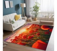 Area Rugs for Living Room 120 x 170 cm, Soft Modern Romance Flower Fields Poppies Print Rugs, Washable Non-Slip Short Pile Red Orange Carpet, for Living Room Bedroom Dining Room Office