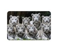 Area Rugs for Living Room Bedroom,Machine Washable 16x24 inch Soft Fluffy Shaggy Bedside Rug, Indoor Floor Carpet for Kids,Dorms,Nursery Rooms,Home Decor - Many White Tigers