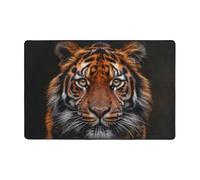 Area Rugs for Living Room Bedroom,Machine Washable 36"x24" Soft Fluffy Shaggy Bedside Rug, Indoor Floor Carpet for Kids,Dorms,Nursery Rooms,Home Decor - Orange Tiger Leopard