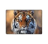 Area Rugs for Living Room Bedroom,Machine Washable 36"x24" Soft Fluffy Shaggy Bedside Rug, Indoor Floor Carpet for Kids,Dorms,Nursery Rooms,Home Decor - Big Tiger