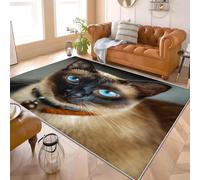 Area Rugs Living Room 60x90 cm Animals Cute Siamese Cats Super Soft Non Shedding Carpet for Hallway Kids Room Small Floor Rug Cat Bedroom Modern Kitchen Carpet Easy Care