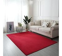 Area Rugs Living Room Rug Soft Bedroom Carpets Modern Solid Color Thick Coral Velvet Carpet Extra Large Size Washable Carpet Anti Slip Fluffy Rug Bedroom Bedside Office Decor-Red30