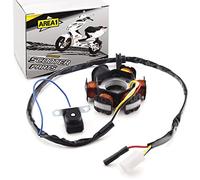 Area1 Replacement Alternator Stator Compatible with Peugeot Speedfight 2, TKR Vivacity Zenith Elyseo Limbo Buxy Gipsy Reggea SV Zenith, Hercules Splinter, Sachs Limbo Reggea