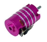 Arecobticy Premium Metal Brushless Motor for 1/24 Remote Control Vehicle with 2.0mm Shaft and Enhanced Efficiency Power Motor