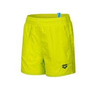 ARENA Boys' Bywayx R Beach Shorts