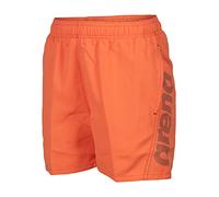 Arena Boy's Fundamentals Arena Logo Jr Boxer R Beach Short