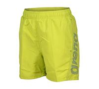 ARENA Boys' Fundamentals Logo Beach Boxer