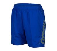 ARENA Boys' Fundamentals Logo Beach Boxer