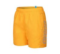 Arena Boys' Fundamentals Logo R Beach Boxer