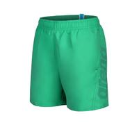 Arena Boys' Fundamentals Logo R Beach Boxer