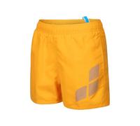 ARENA Boys' Logo R Beach Shorts