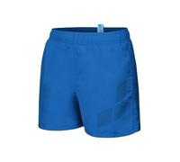ARENA Boys' Logo R Beach Shorts