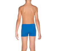 Arena Equilibrium Swimming Boxer