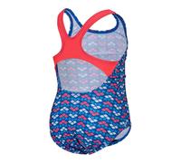 Arena Friends Swim Pro Ao Swimsuit