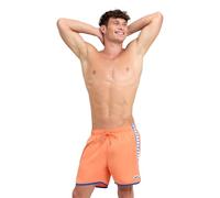 Arena Icons Men's Team Stripe Boxers