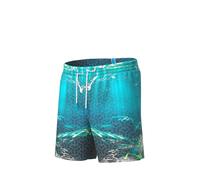 ARENA Men’s Water Prints Boxer Beach Shorts