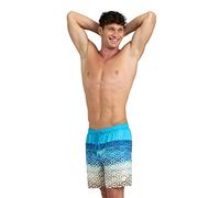 ARENA Mens Beach Shorts Allover