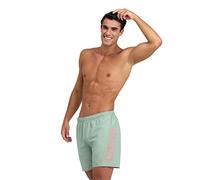 arena Men's Fundamentals Logo Beach Boxer