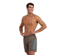 ARENA Men's Fundamentals Logo Beach Boxer