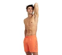 arena Men's Fundamentals Logo Beach Boxer