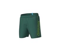 Arena - Fundamentals Logo Boxer R - Swim brief size S, green