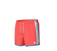 ARENA Men's Icons Team Stripe Beach Shorts