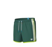 ARENA Men's Icons Team Stripe Beach Shorts